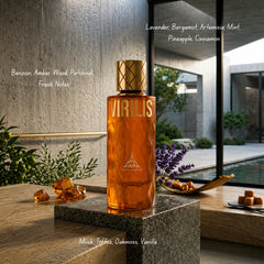 Virilis Eau de Parfum spray by Paris Corner, 100ml bottle, elegant design, showcasing the perfume's sophisticated packaging.