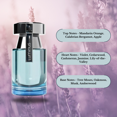 Luminus Pour Homme EDP Spray 100ML (3.4OZ) By RUE BROCA | Spicy, Fruity, Refreshing Masculine Fragrance.