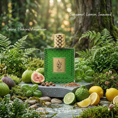 Zaan Forest Eau De Parfum Spray 100ml (3.4 oz) By Aura Fragrances - Intense Oud