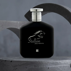 Stallion Pour Homme EDP - 100 ML (3.4 oz) by Ideas - Intense Oud