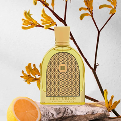 Centurion For Men and Women EDP - 100ML (3.4Oz) By Ideas - Intense Oud